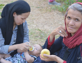 Video: campamento de refugiados en el parque Areos, Atenas